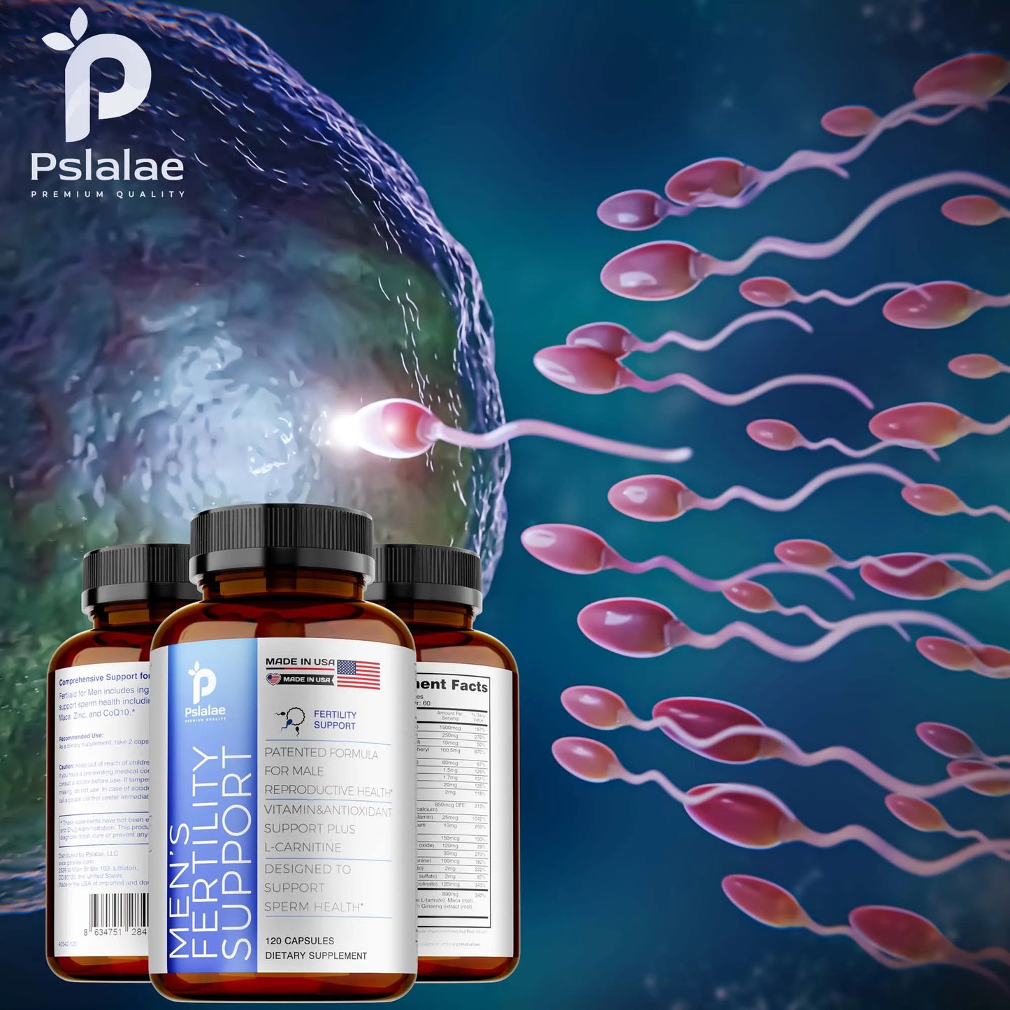 Men's Fertility Support, Ginseng, Multivitamins, Multiminerals, L-Carnitine, Maca, Niacin, Chromium - 120 Capsules